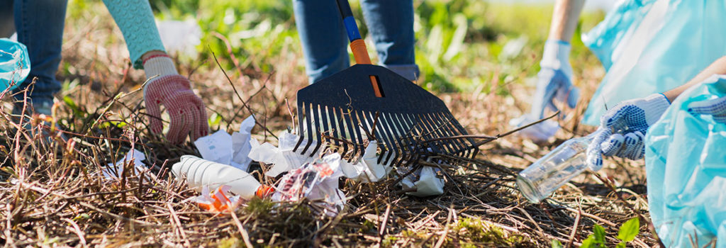 Volunteers in gloves using a rake and bags to pick up litter from the ground.